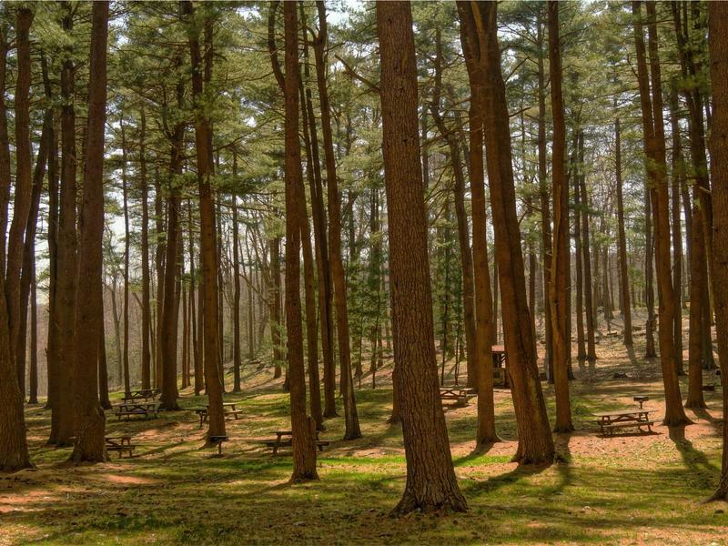 sudoku solving methods screenshot 6